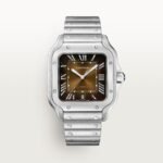 Santos de Cartier watch CRWSSA0064 - 图片 5