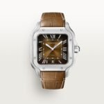 Santos de Cartier watch CRWSSA0064 - 图片 9