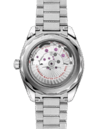 Seamaster Aqua Terra 150M 41 mm 220.10.41.21.03.006 - 图片 2